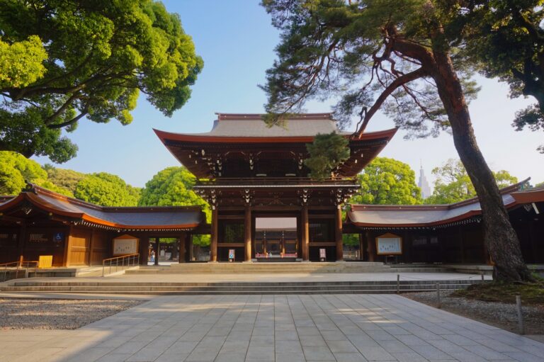 Guide francophone à Tokyo devant le sanctuaire Meiji